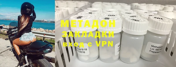 хмурый Аркадак