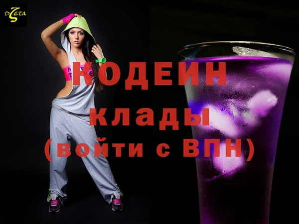 хмурый Аркадак