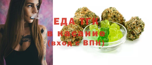 хмурый Аркадак
