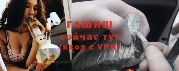 хмурый Аркадак