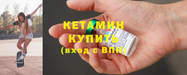 хмурый Аркадак