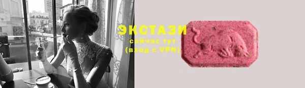 хмурый Аркадак