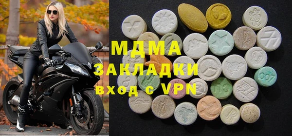 хмурый Аркадак