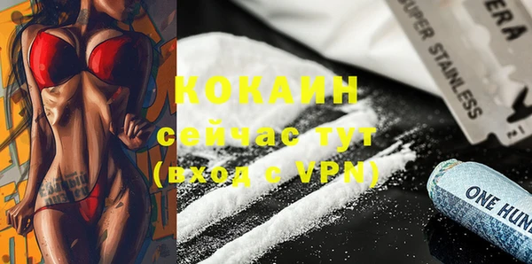 хмурый Аркадак