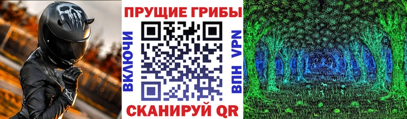 Псилоцибиновые грибы мицелий  Южно-Сухокумск 